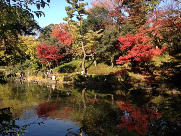 Momiji in Arisugawa Park